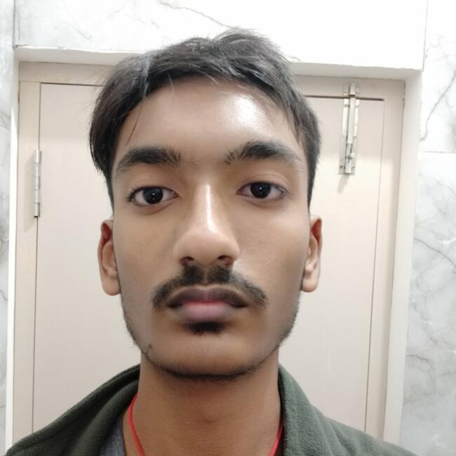 बंगलौर में बेबीसिटर: Tejas