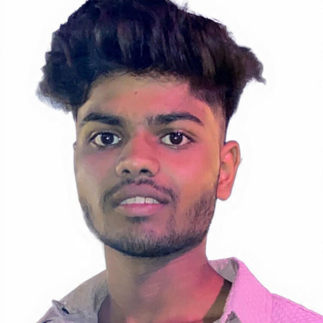 नई दिल्ली में बेबीसिटर: Vishal