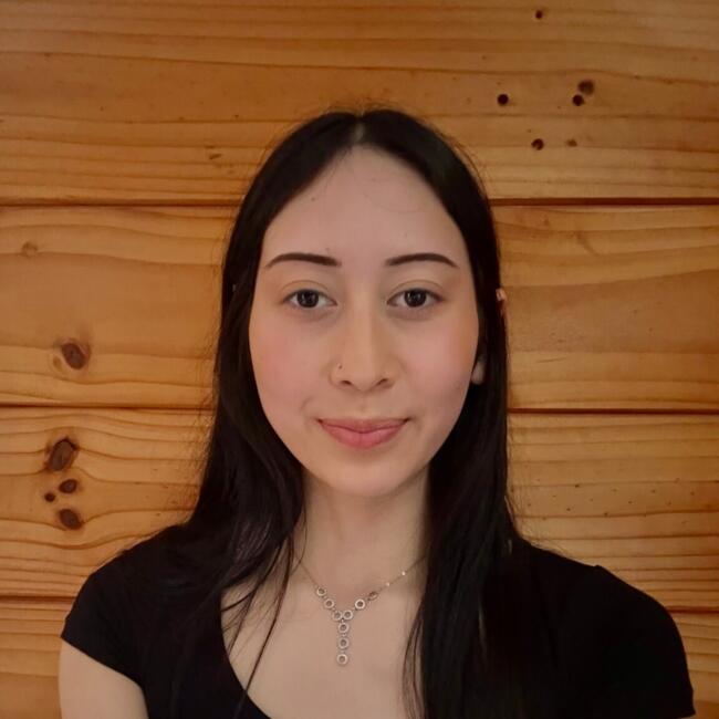 Babysitter in Christchurch: Ludmila