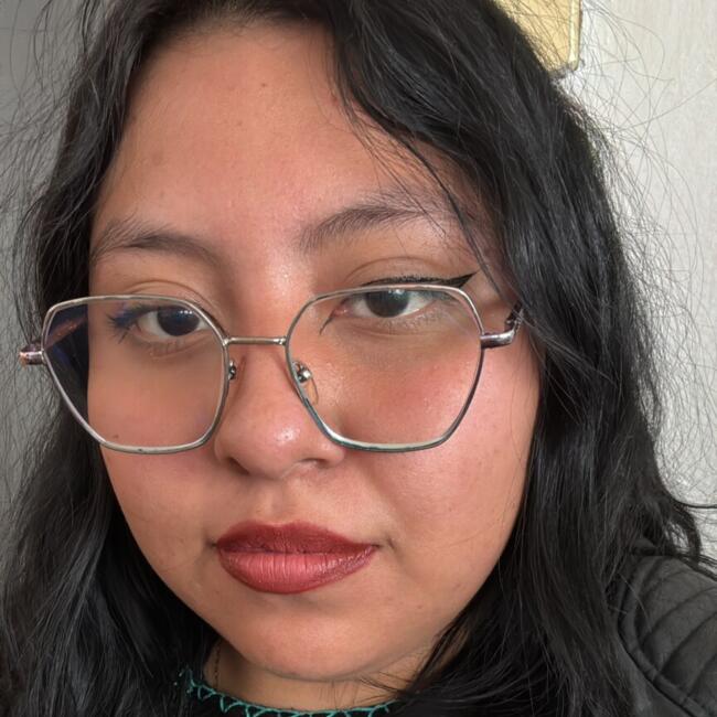 Babysitter in Mexico City: Nairobi