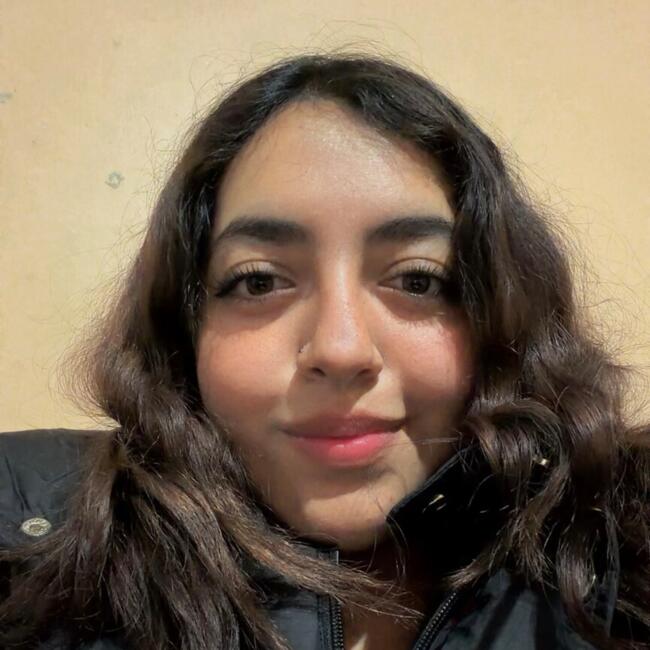 Niñera en Tenango de Arista: Jaqueline