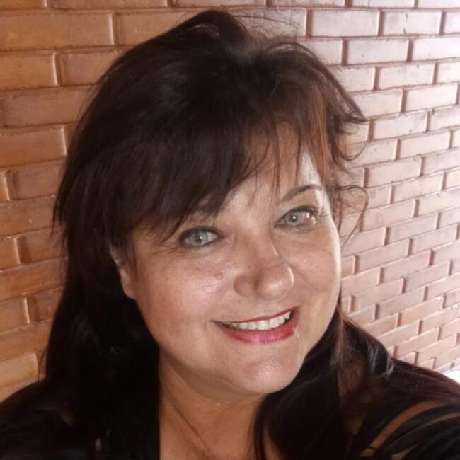 Babysitter in Barueri: Elzir