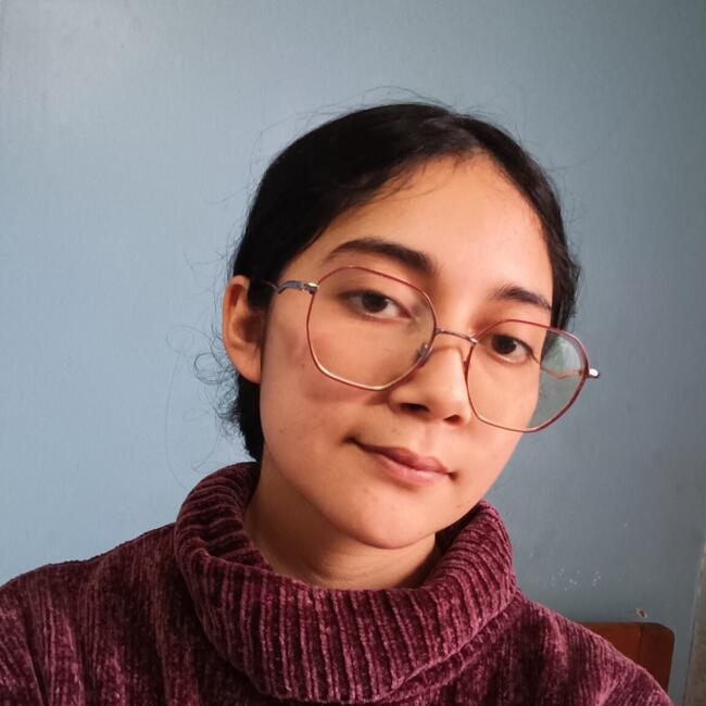Babysitter in Rancagua: Amanda violeta