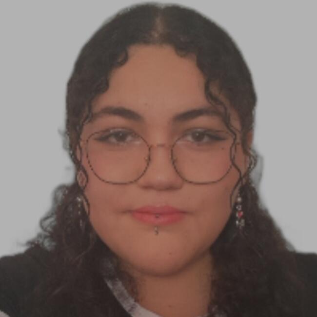 Babysitter in La Pintana: Sheridan