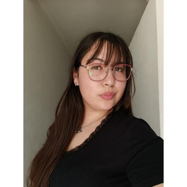 Niñera en Santo Tomé: Daiana