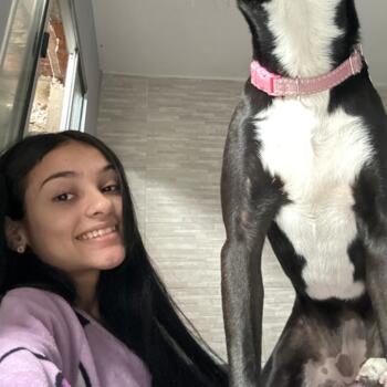 Babysitter in São Paulo (São Paulo): Flavia santos