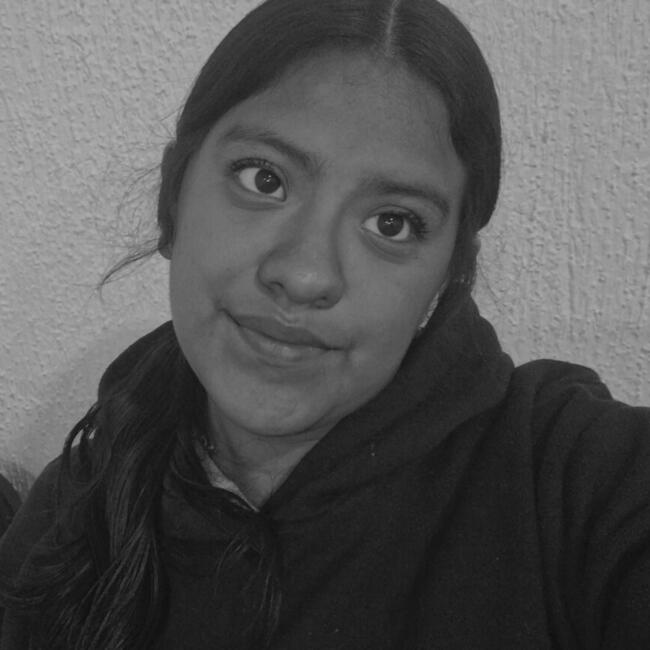 Babysitter in Querétaro City: Karla