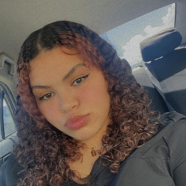 Babysitter in Ponce: Carla Torres