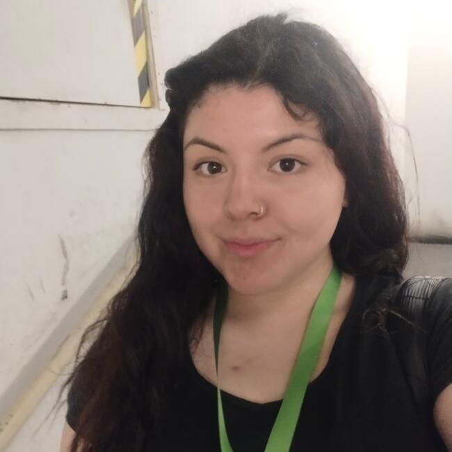 Babysitter in Valdivia: Catalina