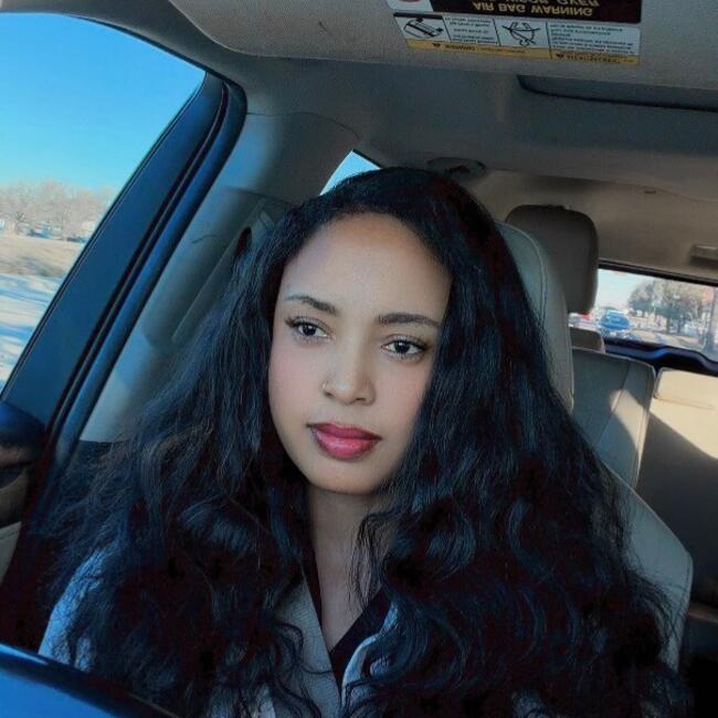 Babysitter in McKinney: Darartu