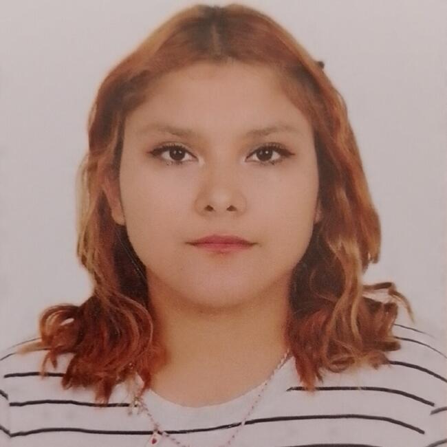 Babysitter in Lima: Viviana Bermúdez