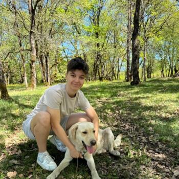 Babysitter in Plaisance-du-Touch: Samuel