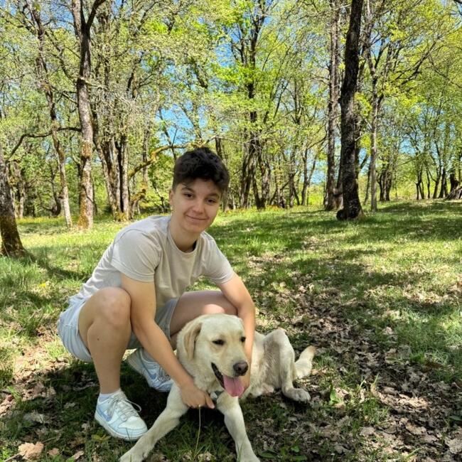 Babysitter in Plaisance-du-Touch: Samuel