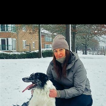 Baby-sitter Asse: Melody