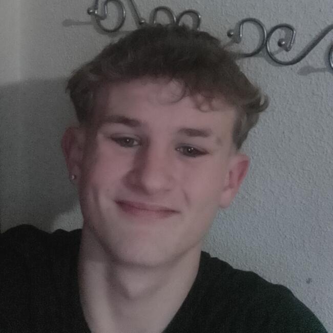 Canguro en Benidorm: Hunter