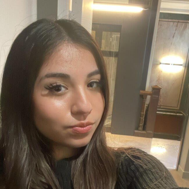 Babysitter in Aulnay-sous-Bois: Jessica