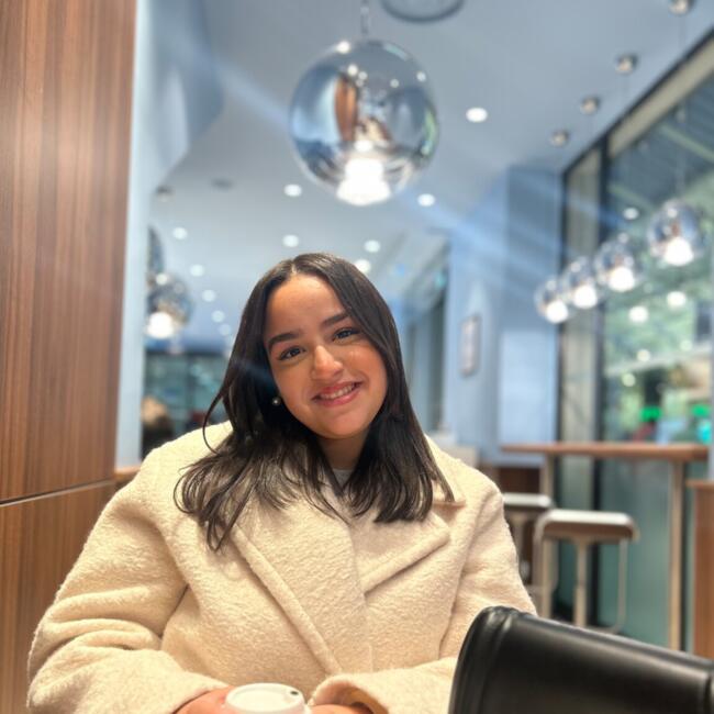 Babysitter in Argenteuil: CAMELIA