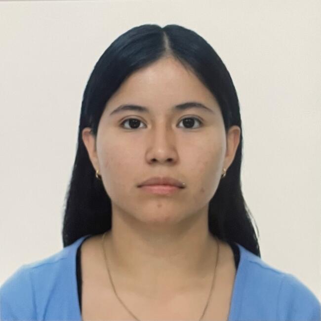 Babysitter in Paracuellos de Jarama: Deibis maylin