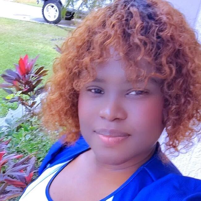 Babysitter in Plant City: Wisline