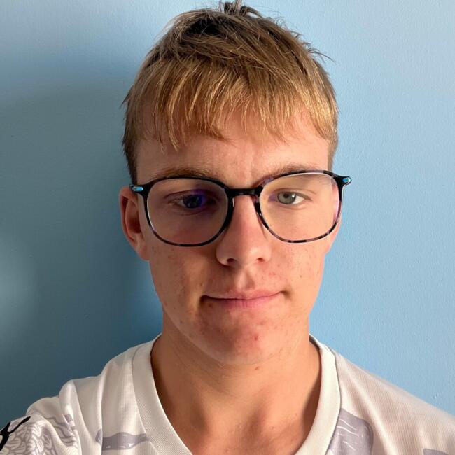 Babysitter in Ardillières: Romain