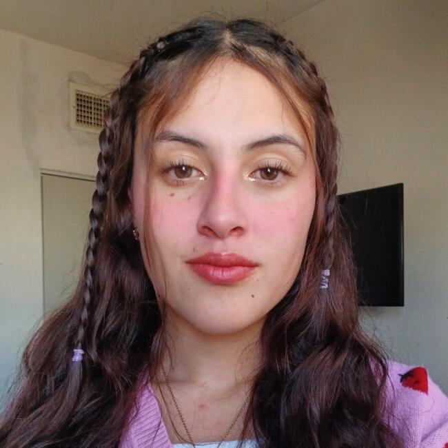Babysitter in Torreón: Arcangel Frisbie Lozano