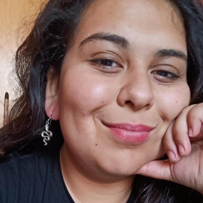 Babysitting job in Padre Hurtado: Laura