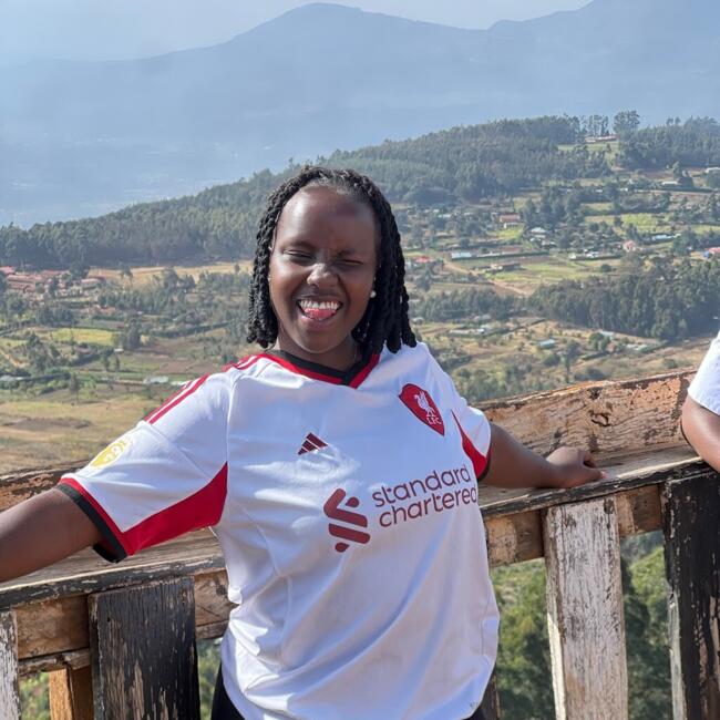 Babysitting job in Kiambu: Favor