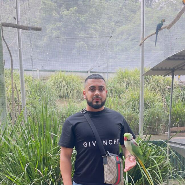 Babysitting job in Sydney: Qais