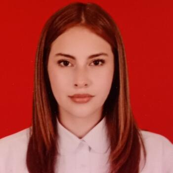 Babysitter in Cochabamba: Genesis