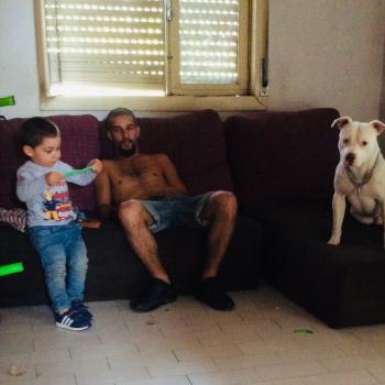 Babysitter Vila Nova de Famalicão: Carina