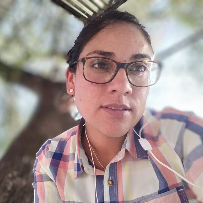 Babysitting job in Huaraz: Liz