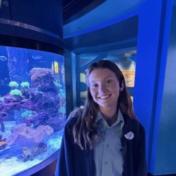 Babysitter in Davenport (Florida): Carlie