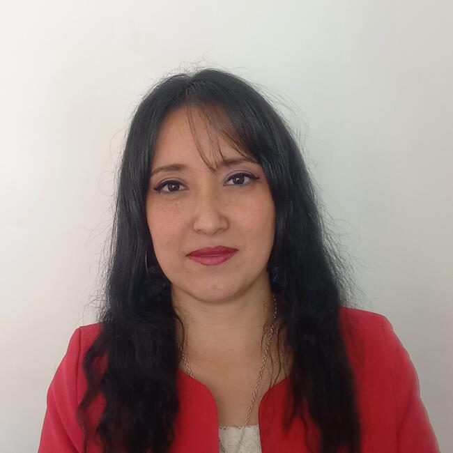 Babysitter in Port Montt: Norma