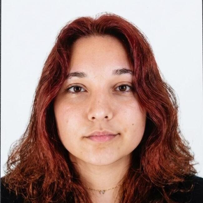 Babysitting job in Pontal do Paraná: Fernanda Soares