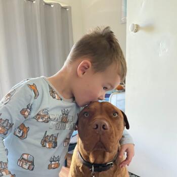 Babysitting job in Central Coast: babysitting job Olivia