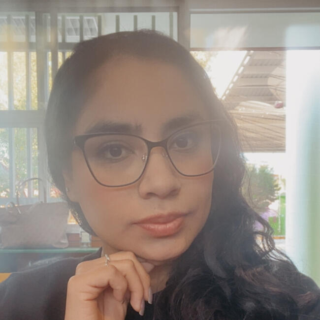 Babysitter in San Luis Potosí City: Diana Laura