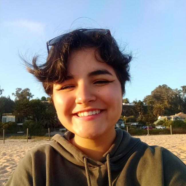 Babysitter in Providencia: Rocío Rojas