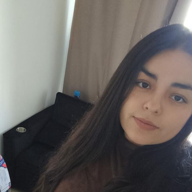 Trabajo para niñera en Santiago de Chile: Francisca