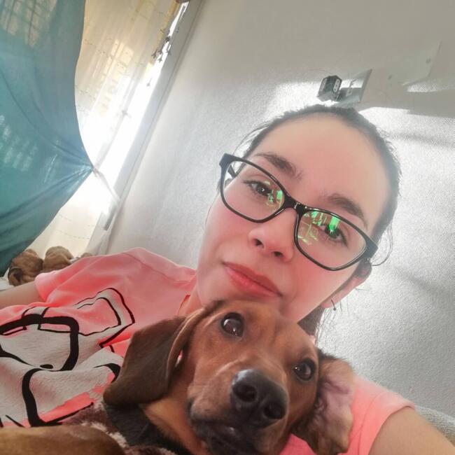 Babysitter in Chillán: Johanna