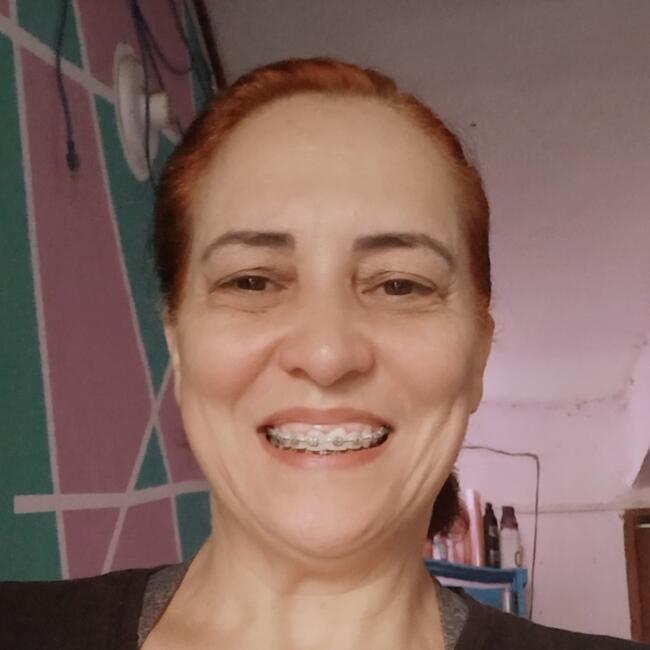 Babysitter in São Paulo (São Paulo): Silvia