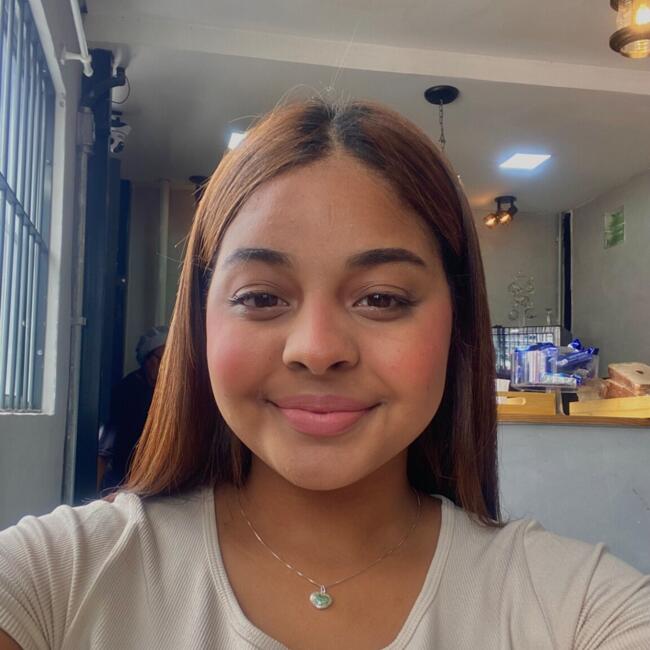 Niñera en Ciudad del Este: Iasmin Fernandes