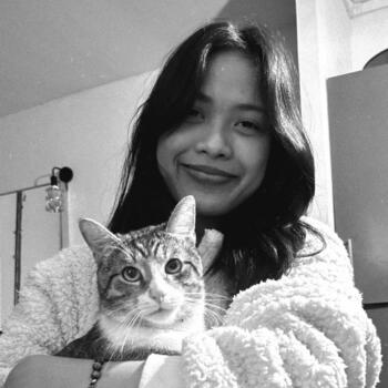 Babysitter Villiers-le-Bel: Nuty