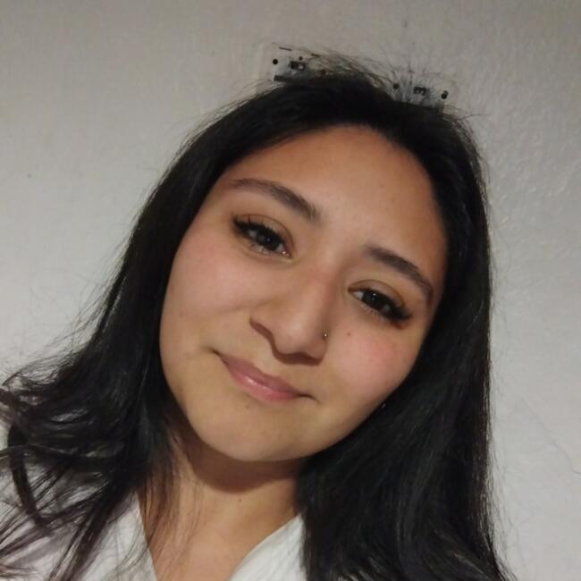 Niñera en Santiago de Chile: Sofia Selenia