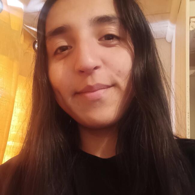 Niñera en Puerto Montt: Nicol