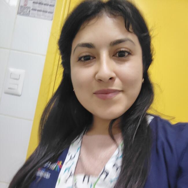 Babysitter in Temuco: Loreto seguel