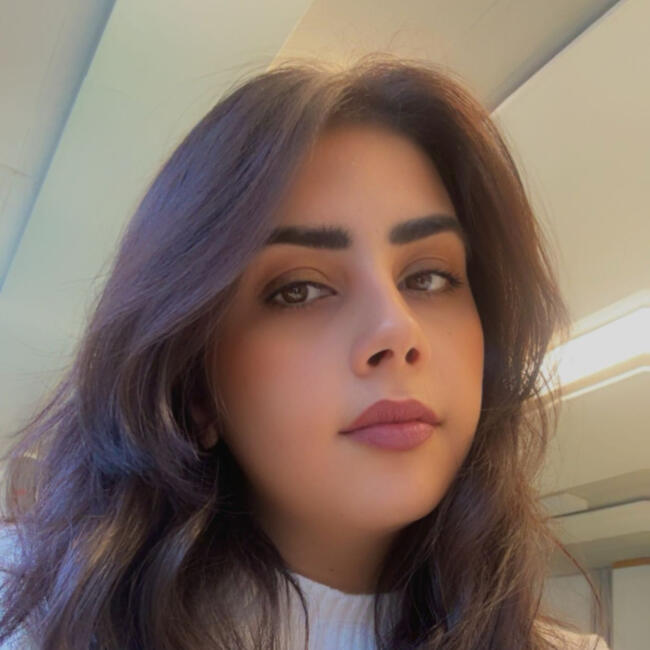 Babysitter a Zurigo: Anisa