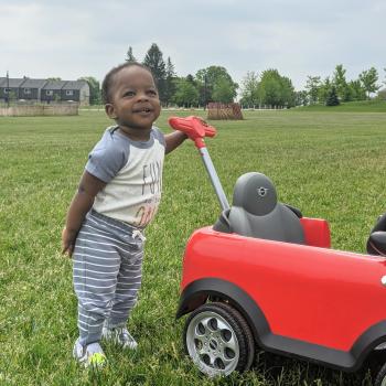 Babysitting job in Kitchener: babysitting job Nicky & Newton