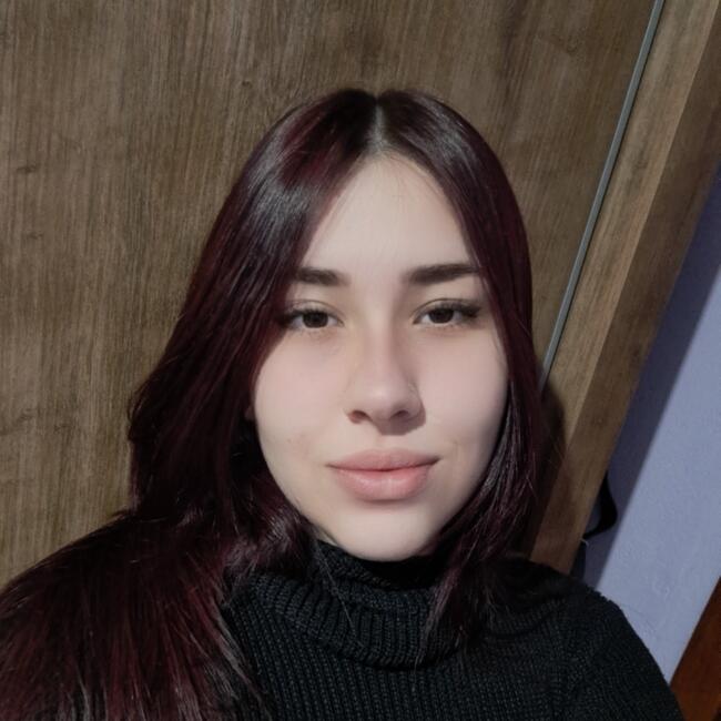 Babysitter in São Leopoldo: Diuly