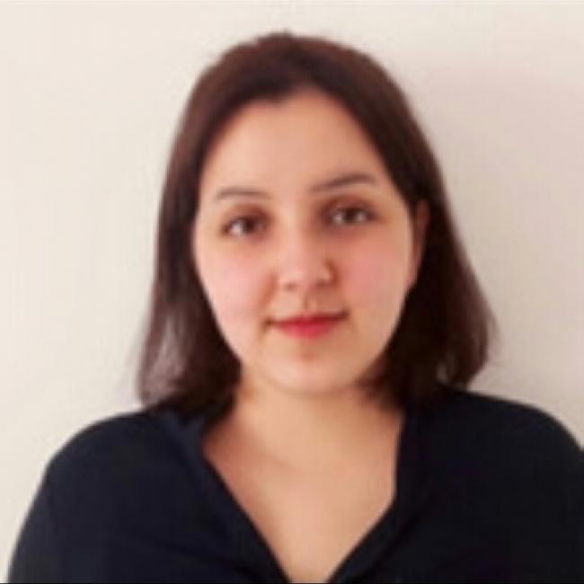 Villeneuve-d'Ascq的保母: Zaynab