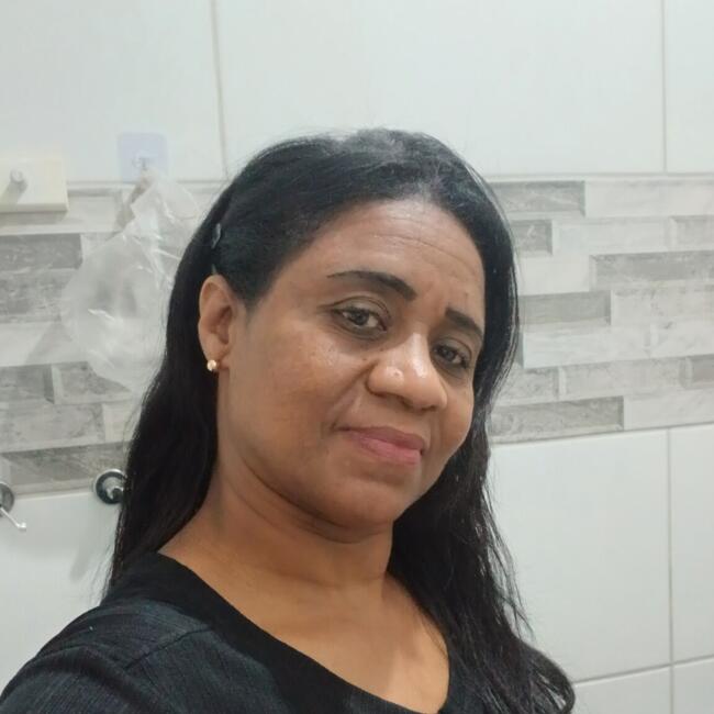 Babysitter in Niterói: Norma